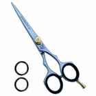Professional 6  Hairdressing Scissor Barber Salon Hair Cutting Shear Sharp Blade