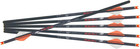 Crossbows R18 Arrow  003 6pk