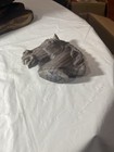 Classical Horse Head Statue Stone Sculpture 4 50    Tall