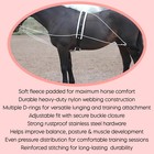 Horse Lunge Training System Aid Equvi To Pessoa Develops Top Line Cob full