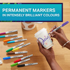 Sharpie Permanent Marker Set   Limited Edition Colour Assortment   Fine Point   