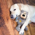 Kong Wild Knots Dog Toy Soft Durable Plush Skeleton Squeaky Minimal Stuffing