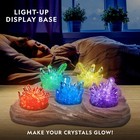 National Geographic Mega Crystal Growing Kit For Kids- Grow 6 Crystals With L   