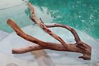 Large Driftwood Manzanita Aquascape Aquarium Terrarium Decor Bonsai 25   16   11  
