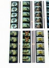 The Jungle Book 35mm Film Cells Vintage Disney Animation Cel Collectable Strips