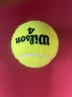 Amanda Anisimova Wimbledon Wilson Tennis Ball Signed Auto