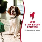 Nature   s Miracle Stain And Odor Remover Dog 32 Ounces Everyday Mess Enzymatic