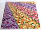 New Stampin  Up Flowering Fields 12x12 Designer Series Paper Dsp 12 Sheets