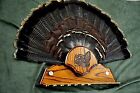 Wild Turkey Hunting Tail Beard Mount Oak Holder Trophy 12gauge  Plaque Taxidermy