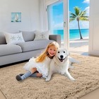 Large Shaggy Area Rugs Soft Non Slip Fluffy Floor Carpets Mats For Living Room