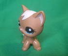 Littlest Pet Shop Short Hair Cat  1170 Exclusive Authentic Lps Figure