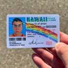          Mclovin Id Card Movie Superbad Mc Lovin With  hologram           