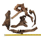Driftwood   Aquarium D  cor   Terrarium   Reptile   Planted Aquarium  5 Pieces 