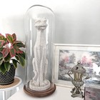 Plymor 10 5  X 29 5  Glass Display Dome Cloche  rustic Wood Base 