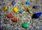 Miniature Fairy Garden 20 Tiny Colored Sea Shells   3 Oz  Sand  Faerie Mo