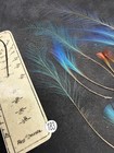 Collectors Rare Blue Bird  Of Paradise Feathers  183