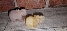 Rocks Fossils Minerals Crystals Hand Carved
