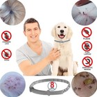 4 Pack Dog Flea   Tick Collar 8 Months Protection Flea Treatment For Large Dogs