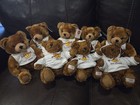 Hard Rock Cafe Teddy Bear 8 5    Plush Limited Edition Collection  New With Tags 
