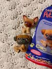 2004 Hasbro Littlest Pet Shop Lps Pet Pairs 2 Puppies  1     2 Rare