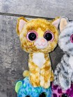 Lot Of  4 Ty Beanie Boos Cat Only Kitten Huge Collected No Heart Tag Bundle  a3