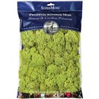 Supermoss Preserved Reindeer Moss - 8oz Bag - Chartreuse