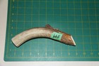 Large Straight Deer Antler Dog Chew  44   Bone Chews Deer Elk Treats Deer 1106