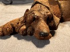 A Breed Apart Chocolate Yellow Labrador Retriever Dog Figurine  70041