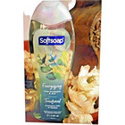 4 Pack Softsoap Body Wash Energizing Fresh Eucalyptus   Mint Moisturizing 20oz