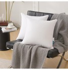 Oubonun 30 X 30 Pillow Inserts  set Of 2  - Euro Pillow Inserts With 100  Cotton