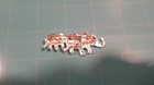 Two Walking Elephants Brooch Trunks Up Silver Tone Pin