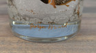 Vintage Georges Briard 22k Gold School Of Fish 60s Lowball Whiskey Glass Barware