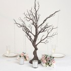 34  Natural Manzanita Tree With Garlands Wedding Party Centerpieces
