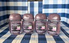 4 - Blackberries   Basil Pocketbac Sanitizers 1 Oz Bath   Body Works New 
