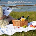 Wicker Picnic Basket With Double Folding Handles Natural Large Willow Hamper    