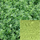 Alfalfa Powder  Organic  Soap Making Supplies  Herbal Extracts 