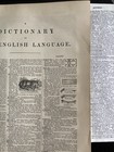 200 Antique Vintage Dictionary Pages Lot-junk Journal Ephemera 1880s-1960s Paper