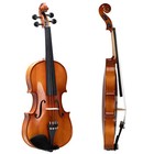 New 4 4 Full Size Acoustic Violin Kit With Strings Case Bow Rosin Bridge Tuner