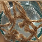 Nautical Teal Blue Glass And Twine Rope Decorative Jar   Vase