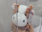Ty Beanie Baby Babies Rare 3rd 2nd Gen Tag Bessie Tbb Authenticated Mwmt-mq
