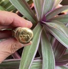 Vtg Coty 24 tomato Red creme Lipstick collectible gold white Floral Tube sealed