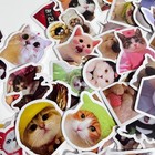 Cute Cat Sticker For Packaging Random 2pc New From Japan 2                                                         