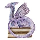 Pt Amy Brown  story Time Dragon  Hand Painted Figurine
