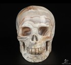Skullis Gemstone 2 0  Crazy Lace Agate Hand Carved Crystal Skull