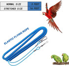 Parrot Bird Harness Leash Anti-bite Outdoor Blue Flying Training Rope With 5pcs 