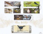 2023 River Wildlife  collectors Sheet  - Benham Gold  500  Official
