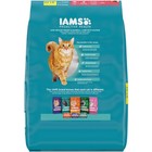 Iams Proactive Health Indoor Adult Cat Food With Salmon For Weight   Hairball Ca