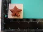Starfish  Flower Blossom  Small Stampin Up Rubber Stamp 