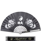 Martial Art Tai Chi Kung Fu Fighting Fan Steel Frame With Dragon Black