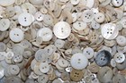 Vintage Mop Shell Sewing Button Lot Nearly 2 Pounds Crafts Art